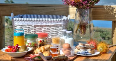 MealBasket MealBasket